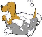 Mobile Dog Wash