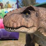 Run-A-Muck Party Hire